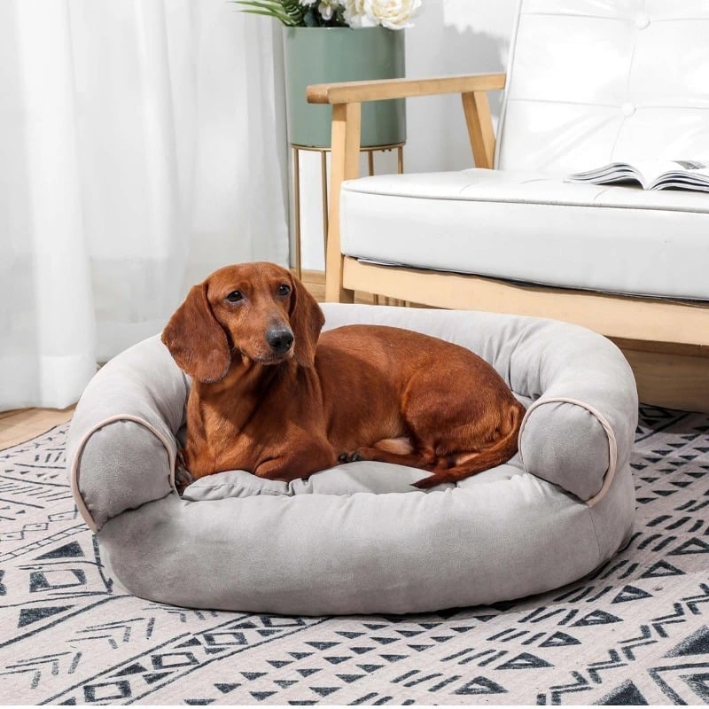 Factory Closing, Clearance Sales 70% OFF – Sofa Dog Bed