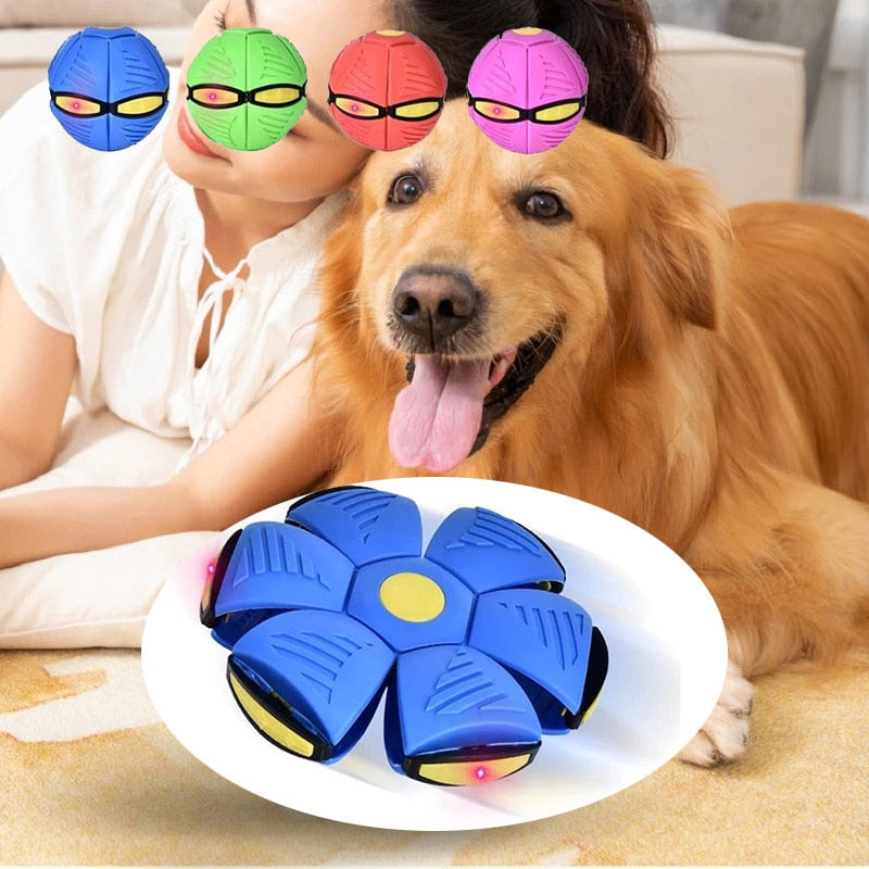 FidoFris – Pet Flying Saucer LED UFO Magic Ball Helps Relieve Stress, Anxiety & Boredom with Indoor & Outdoor Interactive Play