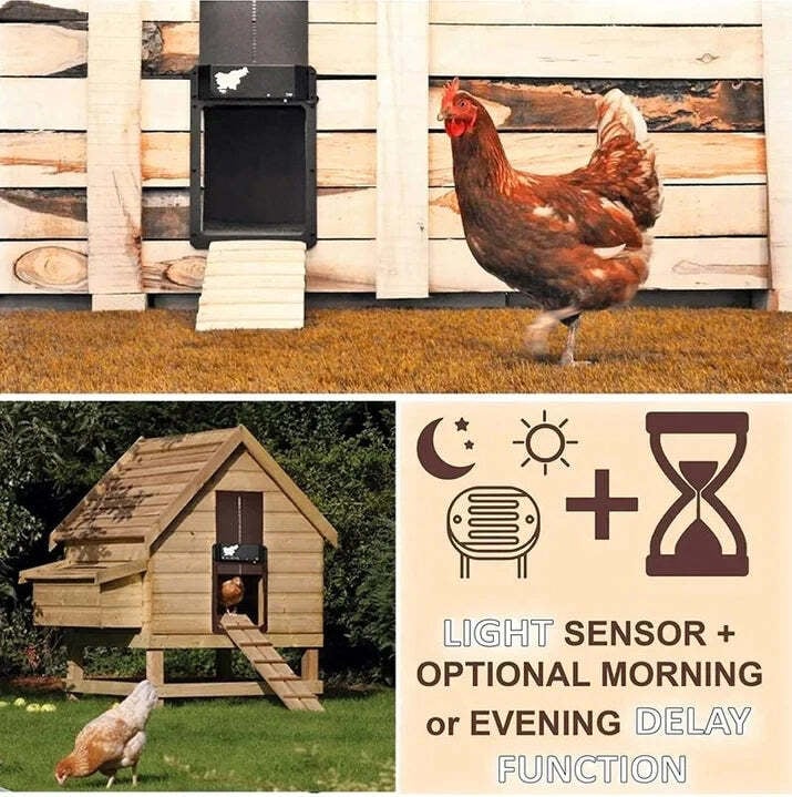 (Flash Sale- 40% OFF)-Automatic Chicken House Door