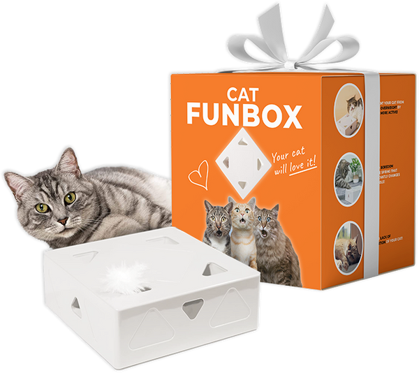 Fun Box - Electric Cat Toy