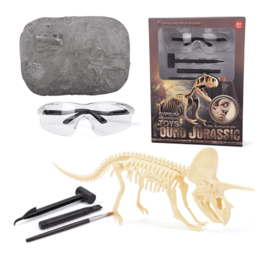 Great Educational Toy for Kids – 2022 New Arrival Dinosaur Fossil Digging Kit