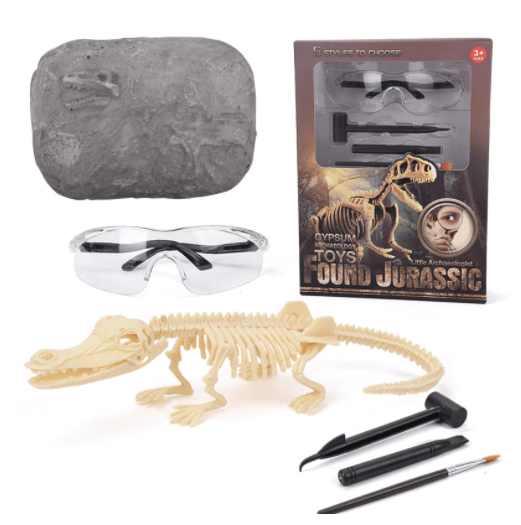 Sailorwholesale Great Educational Toy for Kids – 2022 New Arrival Dinosaur Fossil Digging Kit