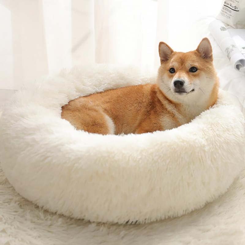 HOT SALE 50% OFF – Comfy Calming Dog/Cat Bed