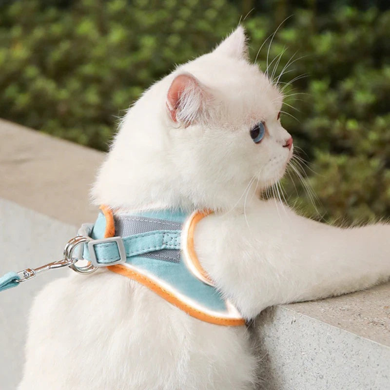 Hot Sale – Cat Harnesses Vest