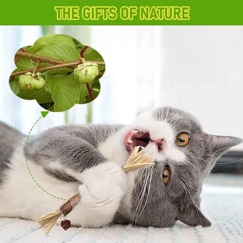 Last Day 70% OFF – Natural Silvervine Stick Cat Chew Toy – BUY 3 Get 1 Free