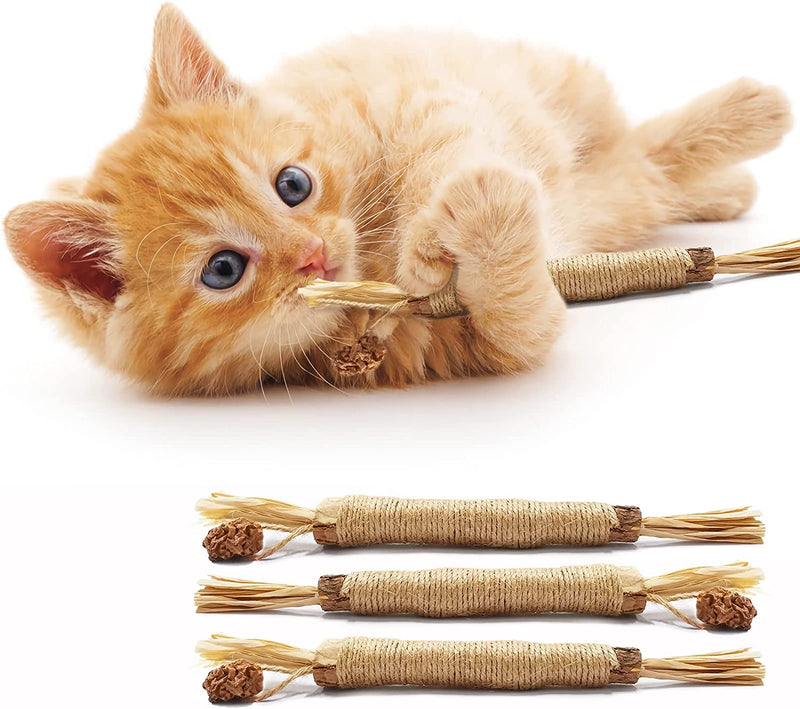 Last Day 70% OFF – Natural Silvervine Stick Cat Chew Toy – BUY 3 Get 1 Free