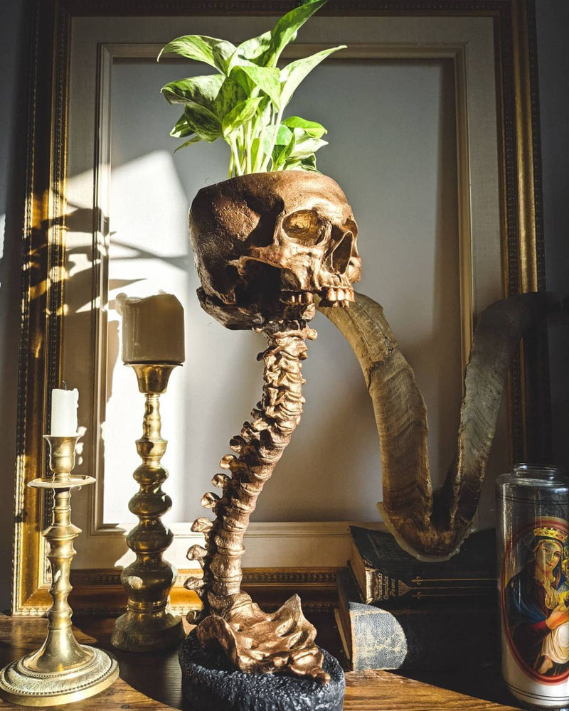 LAST DAY 70% OFF – Skeleton Spine Stand Planter