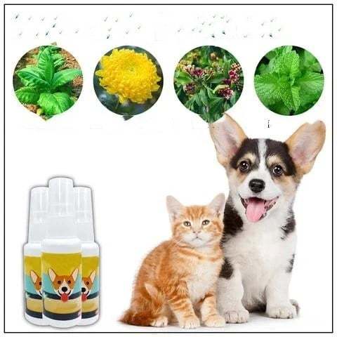 Last Day Promotion- SAVE 70% – Pet Potty Here Training Spray