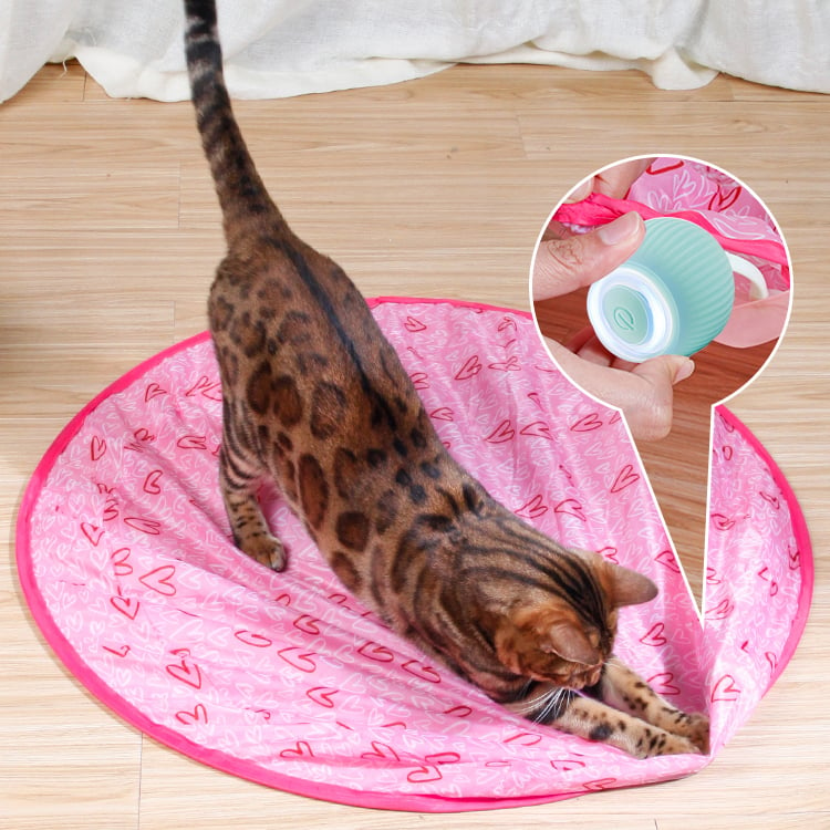 Last Sale – 2 in 1 Simulated Interactive hunting cat toy