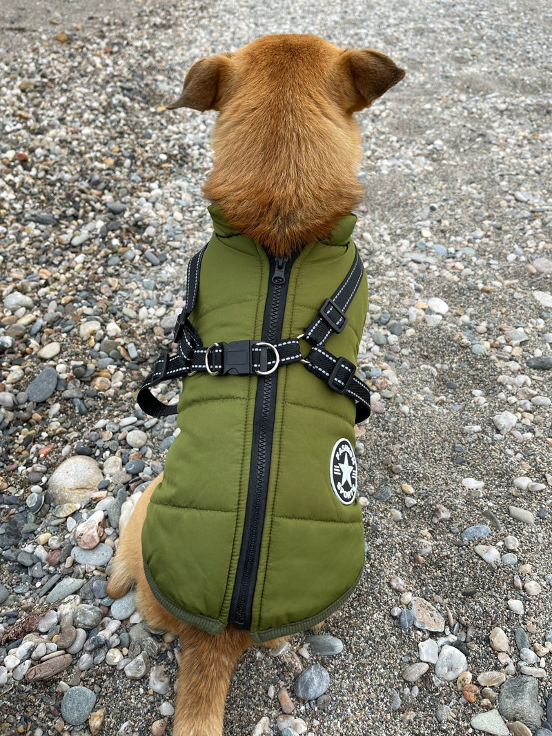 3 In 1 Dog Winter Jacket