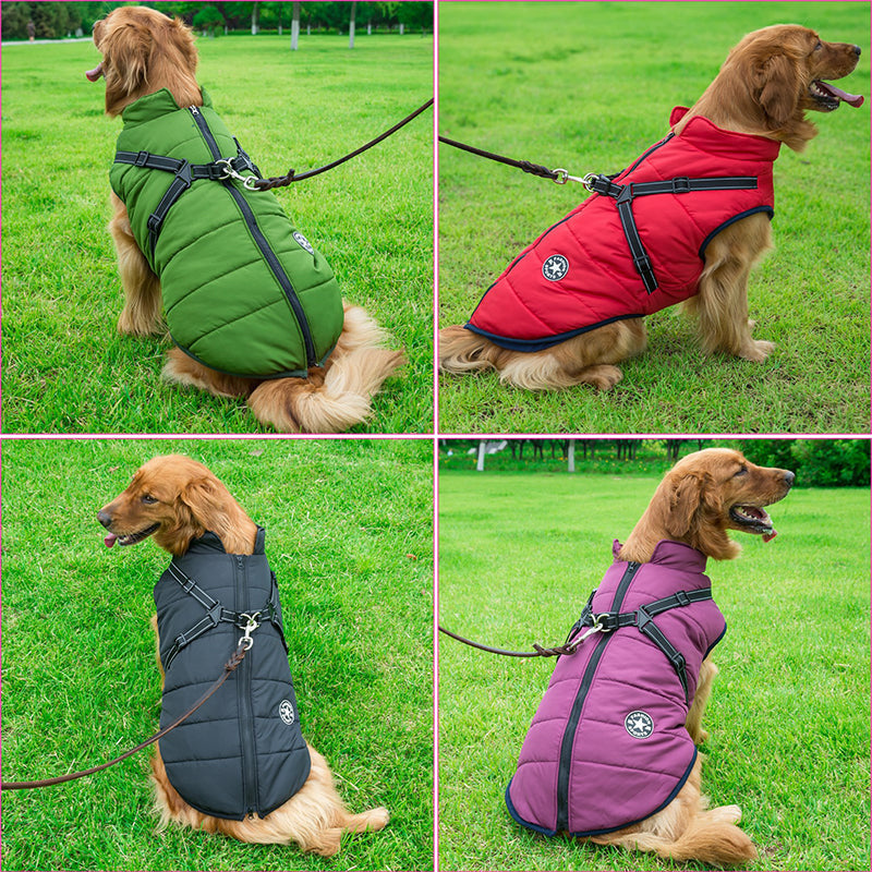 3 In 1 Dog Winter Jacket