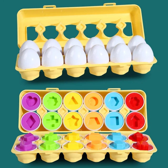 Montessori Eggs- Educational Eggs