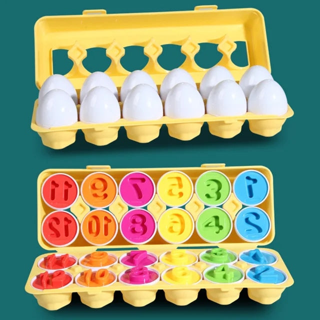 Montessori Eggs- Educational Eggs