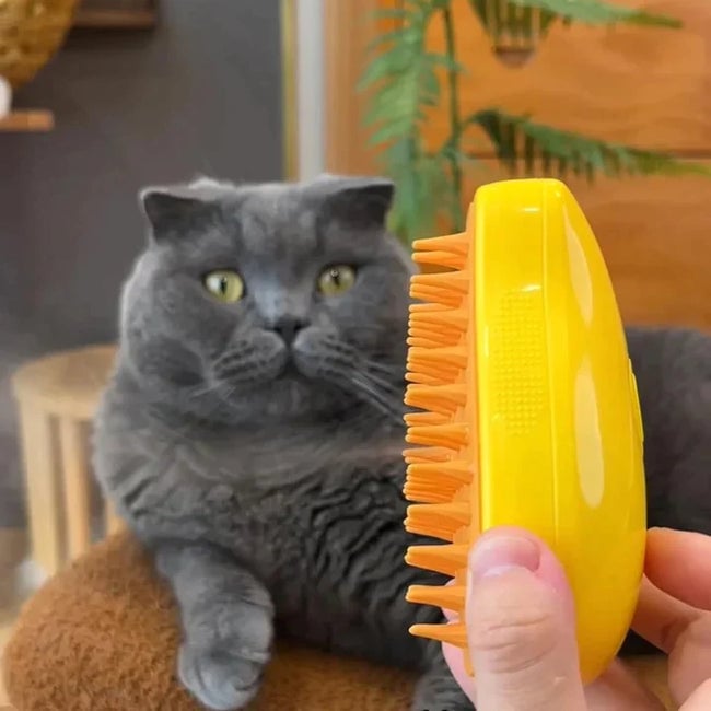 Nano Mist Spray Steamy Pet Comb Brush for Cats & Dogs