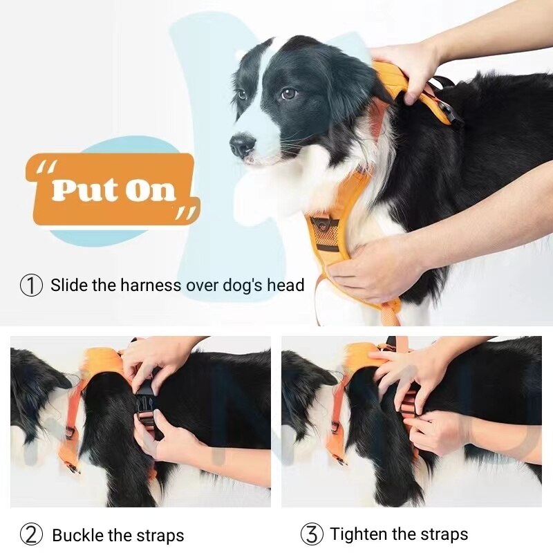 No Pull Dog Harness With Retractable Leash – The Ultimate All-In-One Solution for Your Dog