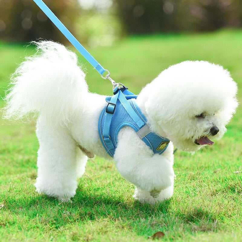 No Pull Reflective & Breathable Dog Harness + Leash