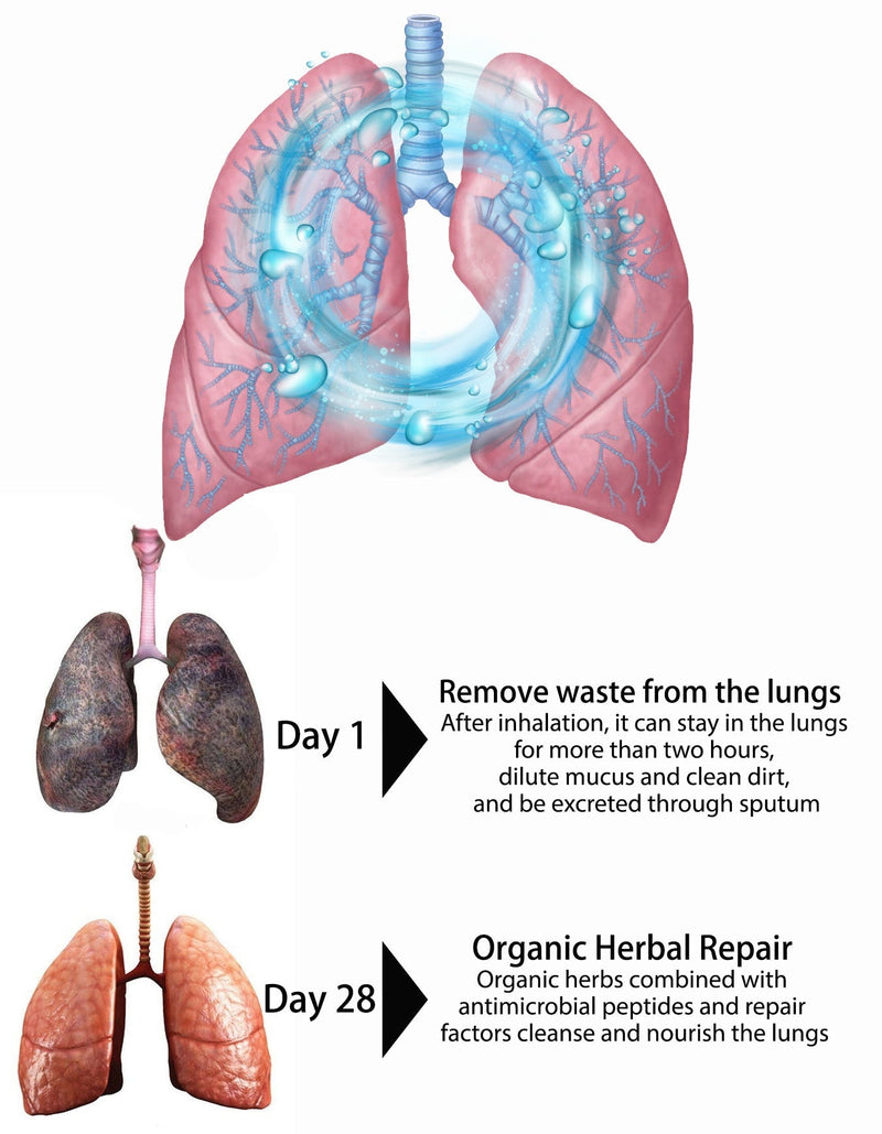 OnNature Herbal Organic Lung Clean & Repair Nasal Spray