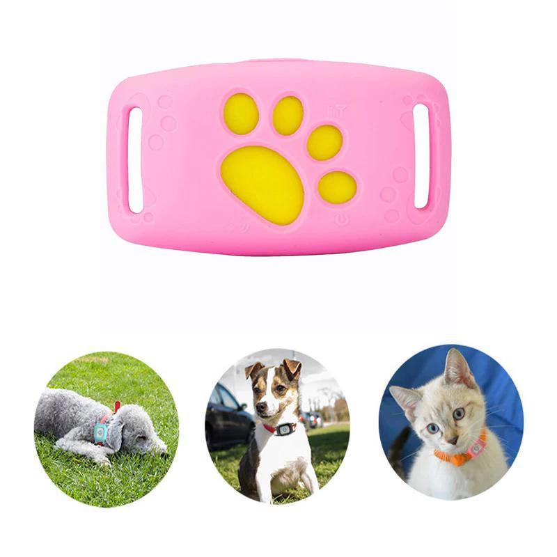 Smart GPS Cat Collar