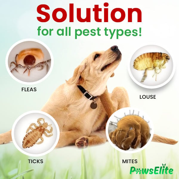 PawElite Flea & Tick Pet Drops – Limited Stocks – up to 80% Off