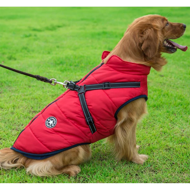 Pawsome 3 in 1 Jacket