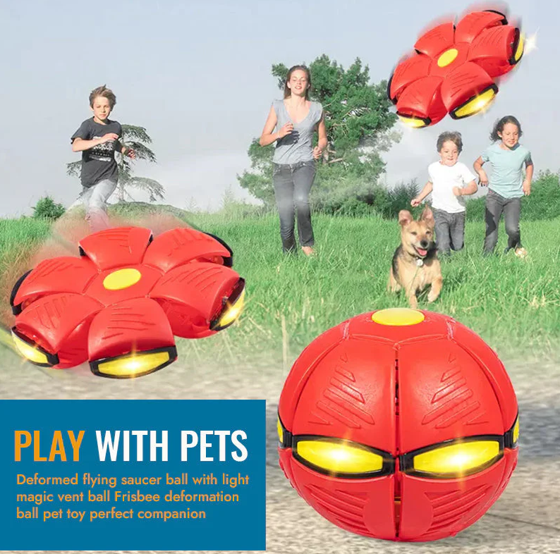 Pet Toy Flying Saucer Ball