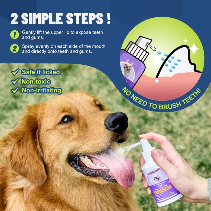 PetClean 鈥 Teeth Cleaning Spray for Dogs & Cats, Eliminate Bad Breath, Targets Tartar & Plaque, Without Brushing