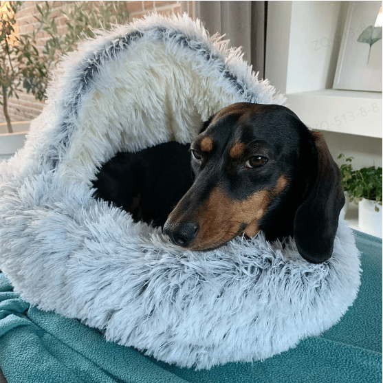 CozyCave – Premium Pet Bed – 49% SALE – Free Shipping