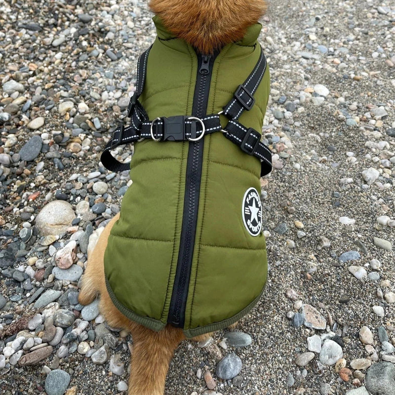 Puppy Puffer Insulated Jacket for Dogs of All Sizes – 2022 Winter Sale