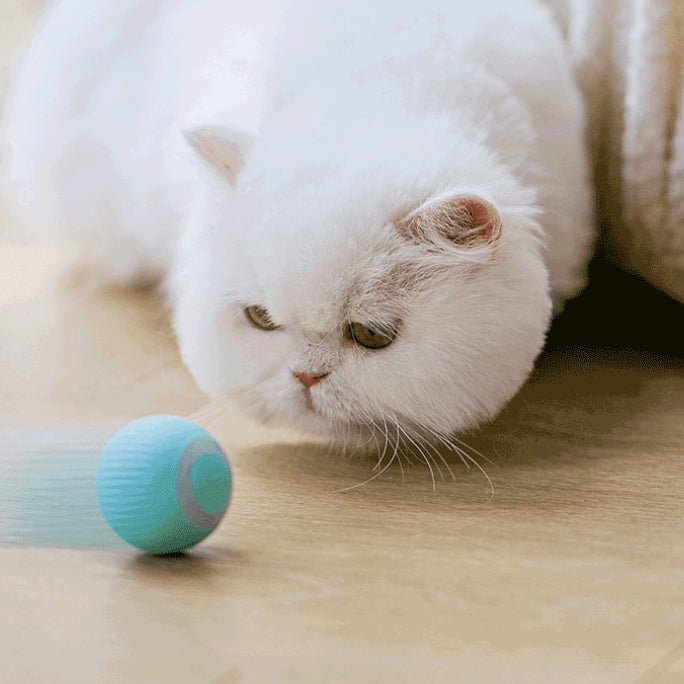 Velarosy SmartBall – Interactive Pet Toy