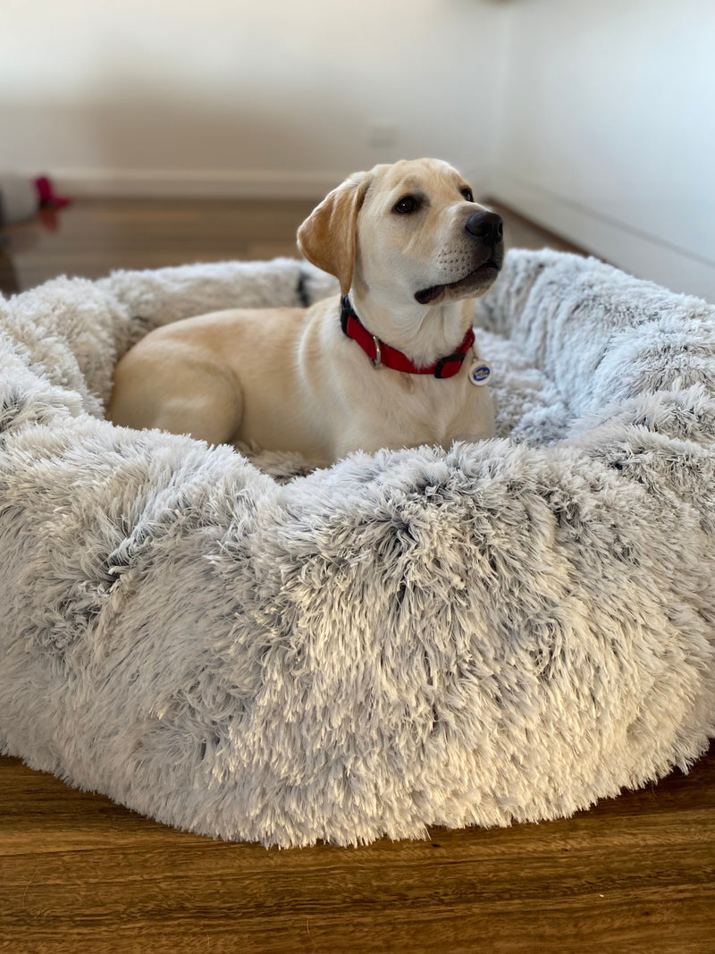 Removable Cover Premium Colour Calming Dog bed