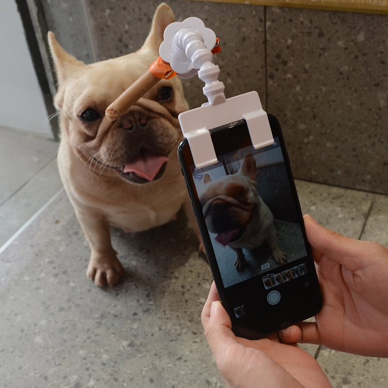 Selfie Stick for Pets