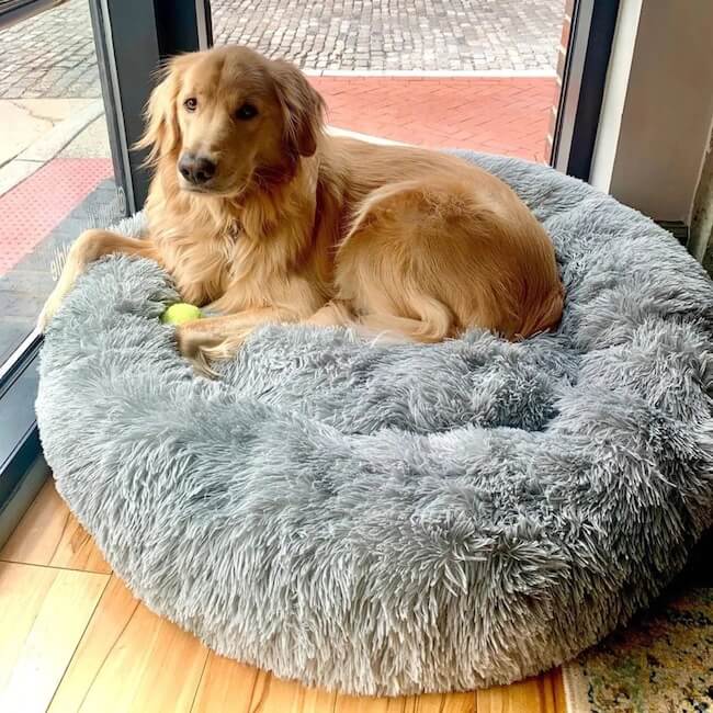 SnuggleCloud  – Anti-Anxiety Calming Dog Bed