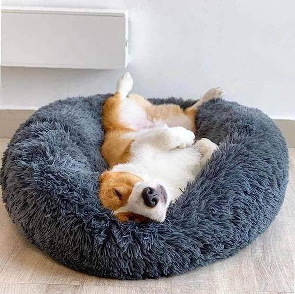 SnuggleCloud  - Anti-Anxiety Calming Dog Bed