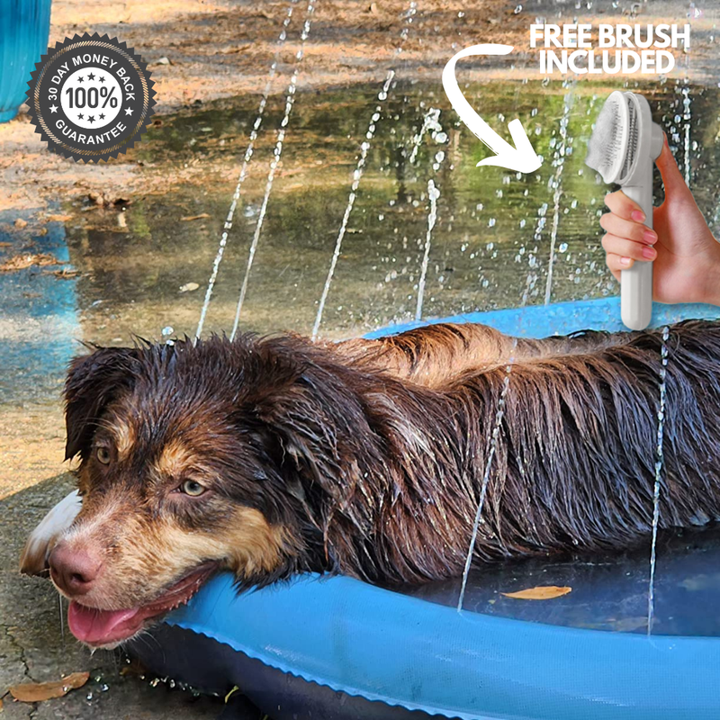 Splashy – Dog Sprinkler Pool