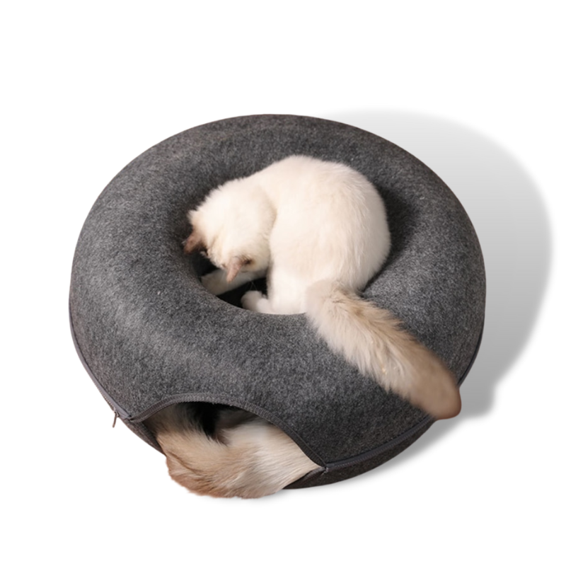 Tunnel Interactive Cat Bed 2.0 – BubblePup