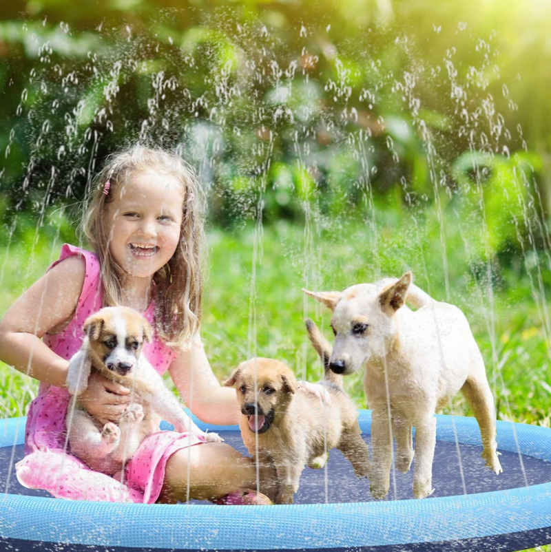 WagPool – Splash Sprinkling Dog Pool