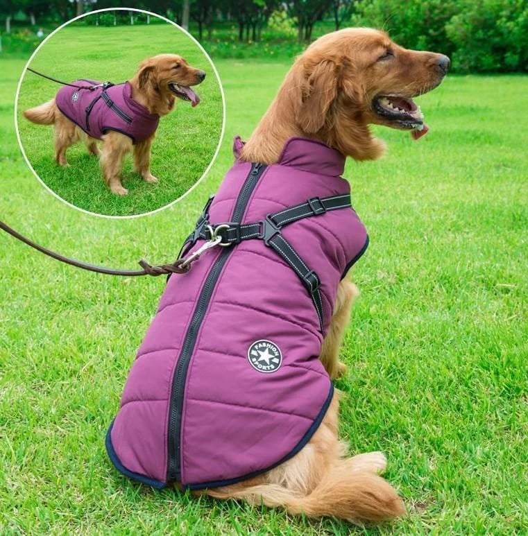 Waterproof Furry Jacket for Dogs of All Sizes