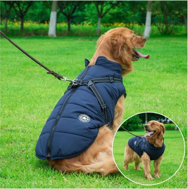 Waterproof Furry Jacket for Dogs of All Sizes